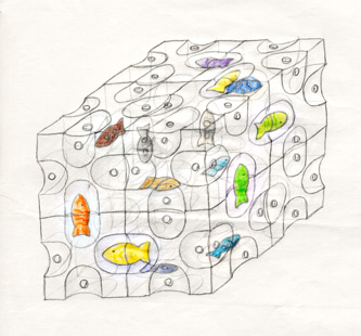 Toy idea-fish cube drawing